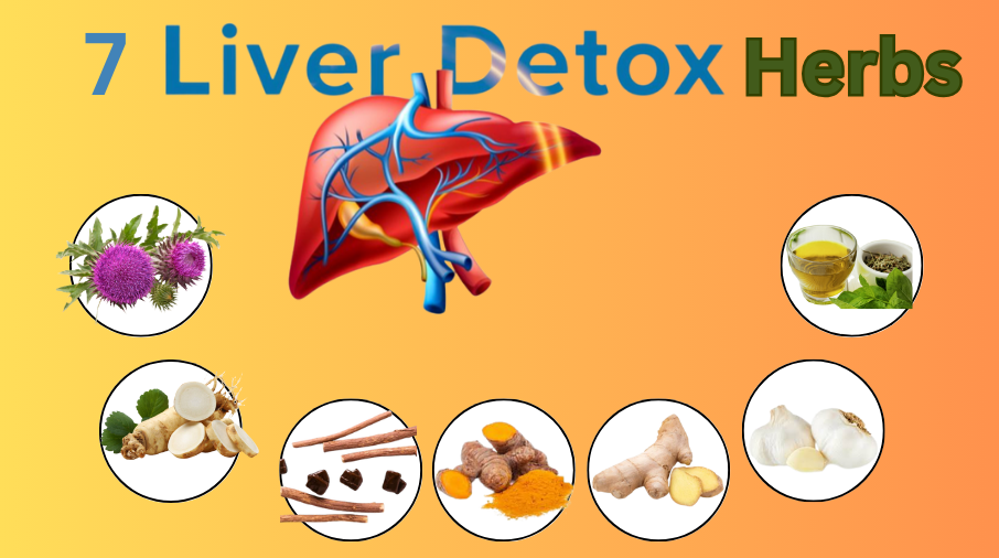 7 Liver Detox Herbs