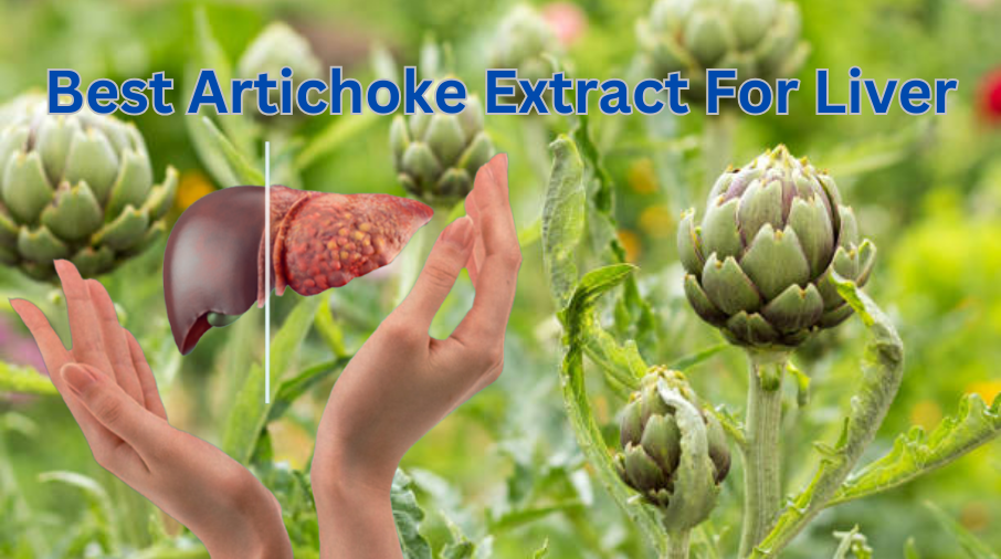 Best Artichoke Extract For Liver