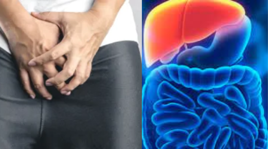 Does Masturbation Affect The Liver?
