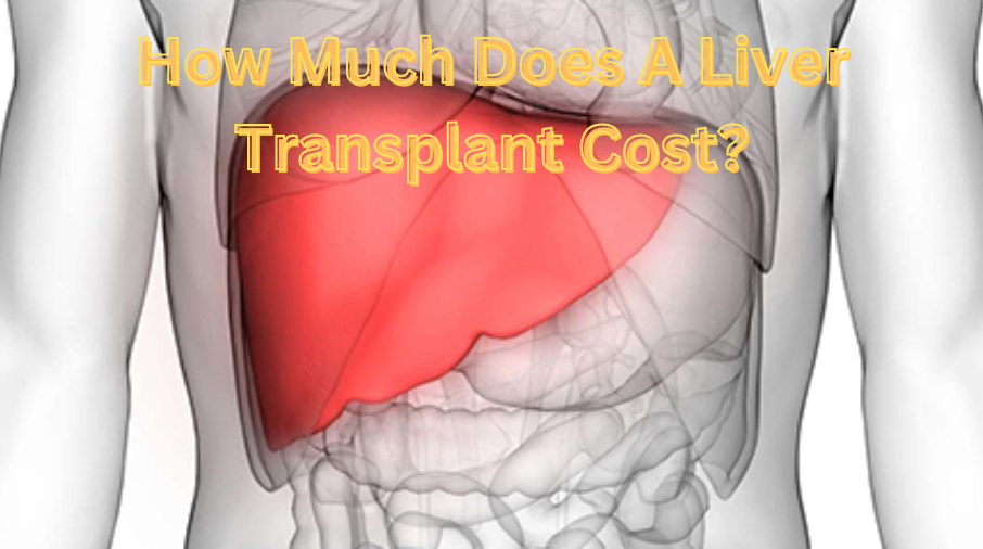 How Much Does A Liver Transplant Cost?