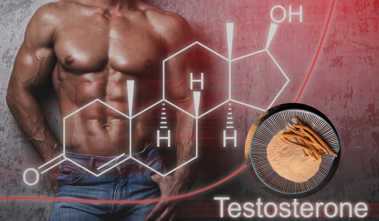 What is the Recommended Amount of Ashwagandha for Improving Testosterone Levels?