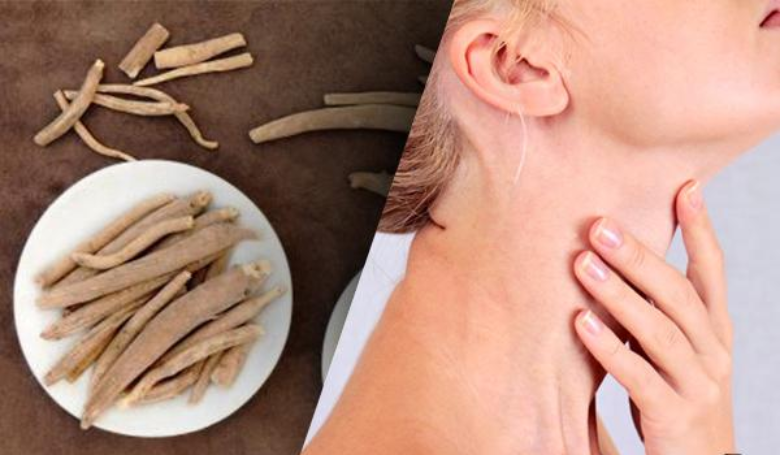 Does Ashwagandha Have a Negative Impact On The Thyroid?